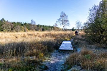 Wandern im hohen Venn