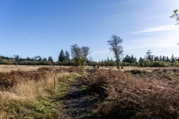 Wandern im hohen Venn