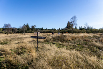 Wandern im hohen Venn