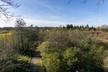 Wandern im hohen Venn
