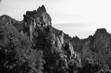 Berg