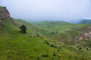 The fog fell on a green mountain.