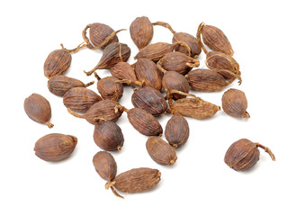 Black cardamom on a white background 