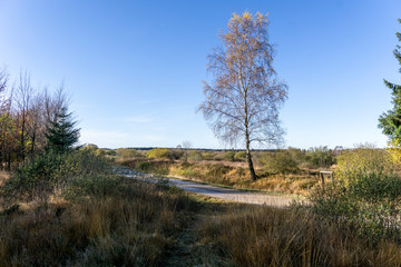 Wandern im hohen Venn
