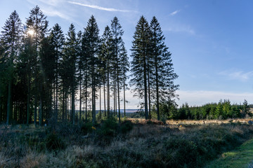 Wandern im hohen Venn