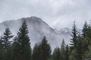 fog in mountains