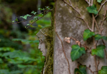 fragment cemetery virgin mary's face in profile