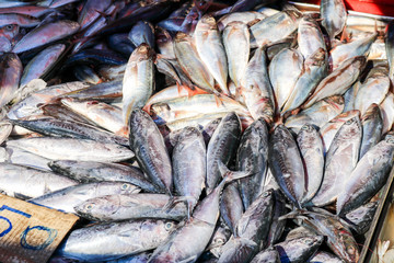 Fresh fish from river sold in local market, Songkhla Province, Thailand