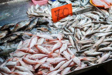 Fresh fish from river sold in local market, Songkhla Province, Thailand