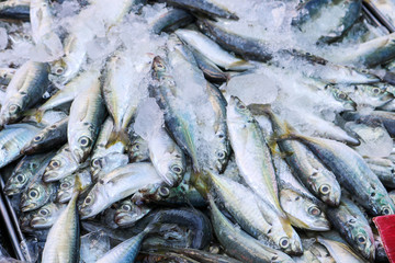 Obraz premium Fresh fish from river sold in local market, Songkhla Province, Thailand