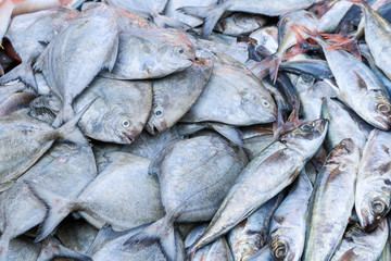 Fresh fish from river sold in local market, Songkhla Province, Thailand