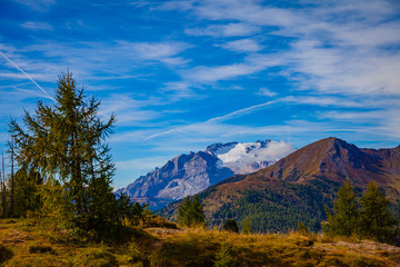 Tree with Mountains with blue sky