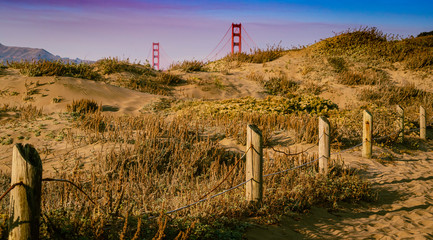 Golden Gate Dunes