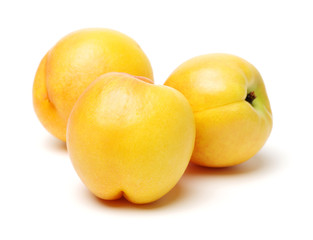 Nectarine fruit on white background 