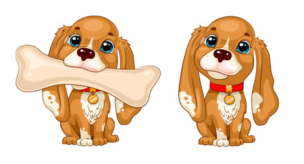 Spaniel puppy with bone and without, vector