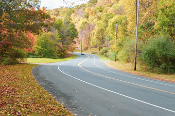 Driving in the Fall on a Local Road