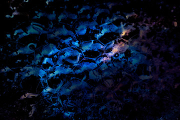 Beautiful abstract foam colorful purple and blue bubbles on dark black background and soap black bubble and detergent