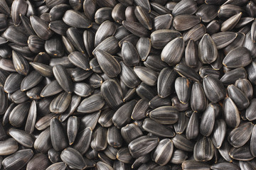 sunflower seeds texture background. top view