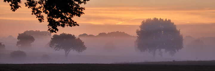 frühtau nebel sonnenaufgang