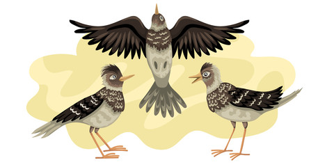 Larks migratory bird. Three birds fly against the background of the sky. Larks migratory bird. Vector illustration of wild animals