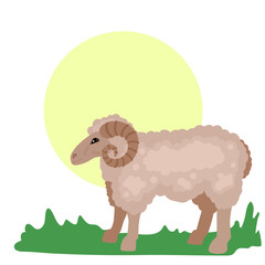 Sheep is grazed on a meadow. Animal print. Vector illustration