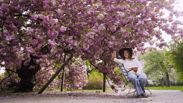 Young girl relaxing in garden with blossoming cherry trees. Full-length view elegant lady taking photo on smartphone while sitting on bench among branches covered flowers under blooming tree 