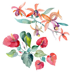 Bouquet floral botanical flowers. Watercolor background illustration set. Isolated bouquets illustration element.
