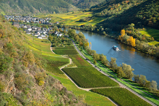 Ausblick vom Apolloweg auf Weinberge, Mosel und Valwig im Herbst