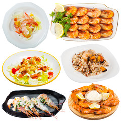 Collection of shrimps dishes