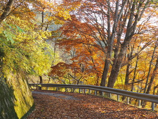 Plakat Japanese Autumn Mountain Photography
