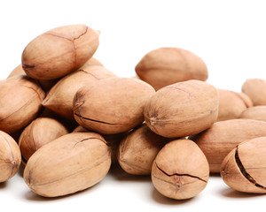 Pecan nuts on white background