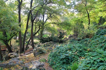 Autumn in the Sea garden of Varna (Bulgaria)