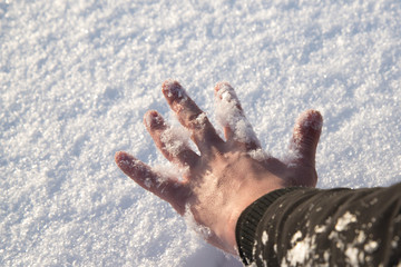 Fototapeta na wymiar Dramatic hand in the snow. In the winter forest freezes people. Tragedy.