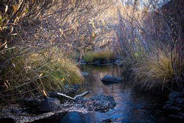Autumn Creek Landscape in Northern California