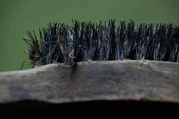 view of a landscape with cow jämtland, sweden