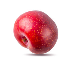 Plum isolated on white background with clipping path
