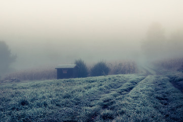 Frostbedeckte Wiese mit Holzhütte im Nebel