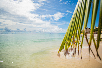 Fototapeta na wymiar Perfect Beach at Caribbean Sea