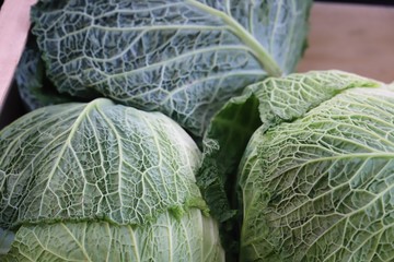 Fototapeta premium Savoy cabbages on display in a market