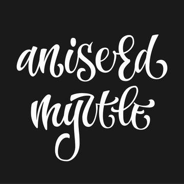 Vector hand drawn calligraphy style lettering word - Aniseed myrtle.
