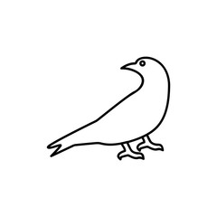logo or label bird. Line style logotype template. Easy to use business template. Vector abstract logo or emblem.