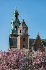 Katedra Wawelska na wzgórzu Wawelskim w Krakowie i kwitnące magnolie, Polska