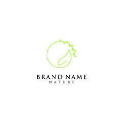 luxury leaf / leaves with circle logo template