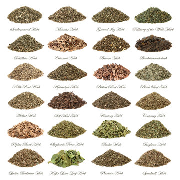 Large herb selection used in alternative herbal medicine in piles isolated on white background with titles.