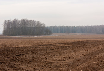 Autumn-winter landscape with a plowed field, a small grove and a forest in fog and strips of snow...
