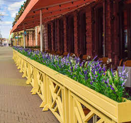 Outdoor cafe in the city. Summer street cafe. Street restaurant.