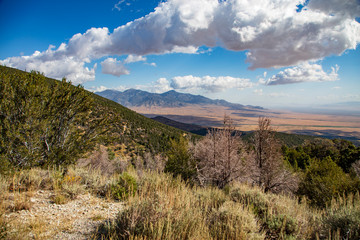 Mountainous view from the Great Basin National Park road to Wheeler Peak Glacier