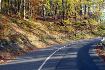 Landstraße von Abtswind nach Geiselwind