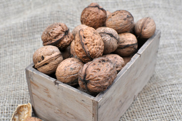 Walnuts in a wooden box and on a sacking