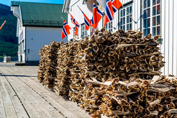 Stockfish, dried by cold air and wind, at the fishing harbor Norway
